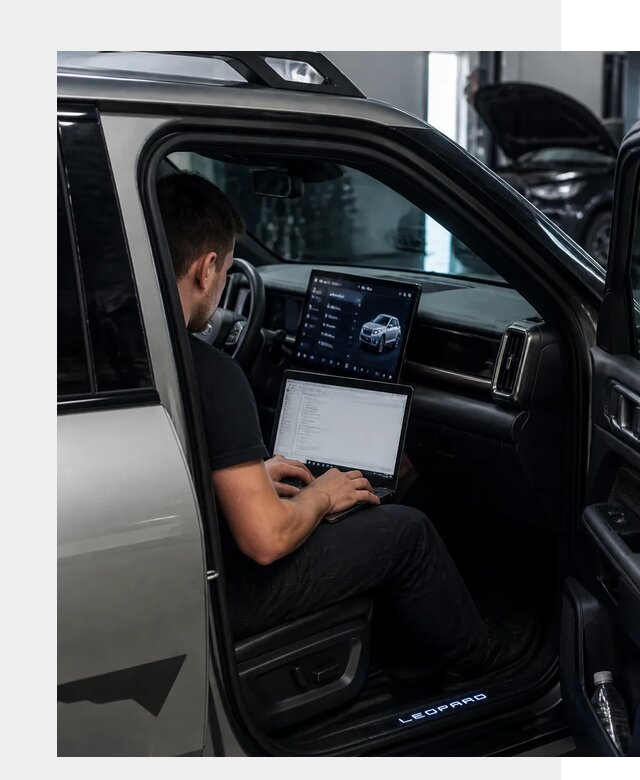 Русификация BYD Leopard 3 в Алапаевске по цене от 21303 р. | ФастМобиль-Лпв